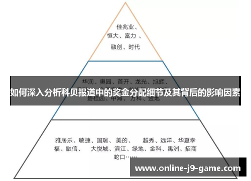 如何深入分析科贝报道中的奖金分配细节及其背后的影响因素