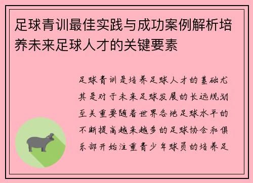 足球青训最佳实践与成功案例解析培养未来足球人才的关键要素